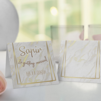 כרטיסי הושבה ממותגים