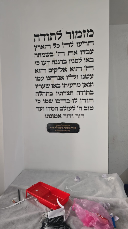 a138e6d4-1af4-11f0-879c-3a450d5cc653