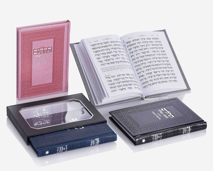 ea4bd5ce-360c-11f0-8d92-0223ec5e5a0a